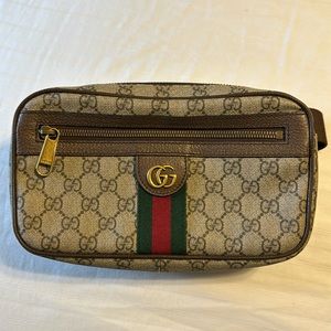 Gucci Ophidia Belt Bag